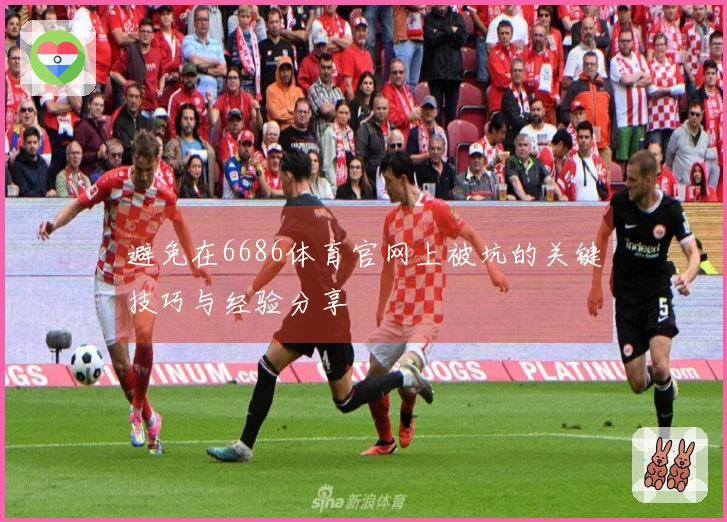 避免在6686体育官网上被坑的关键技巧与经验分享