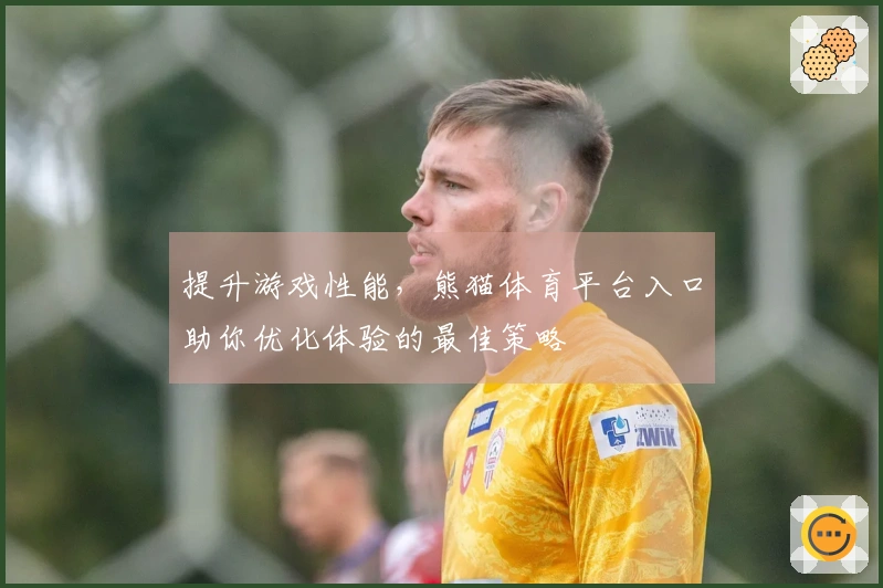 提升游戏性能，熊猫体育平台入口助你优化体验的最佳策略