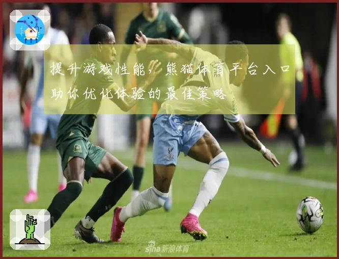 提升游戏性能，熊猫体育平台入口助你优化体验的最佳策略